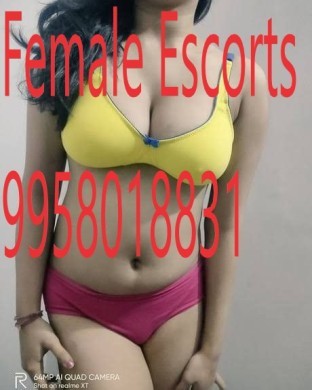 Call Girls In Zakir Nagar-9958018831
